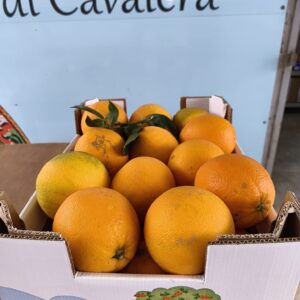Cassa da 7 kg di Arance Novellino - Terra di Cavalera, Pachino