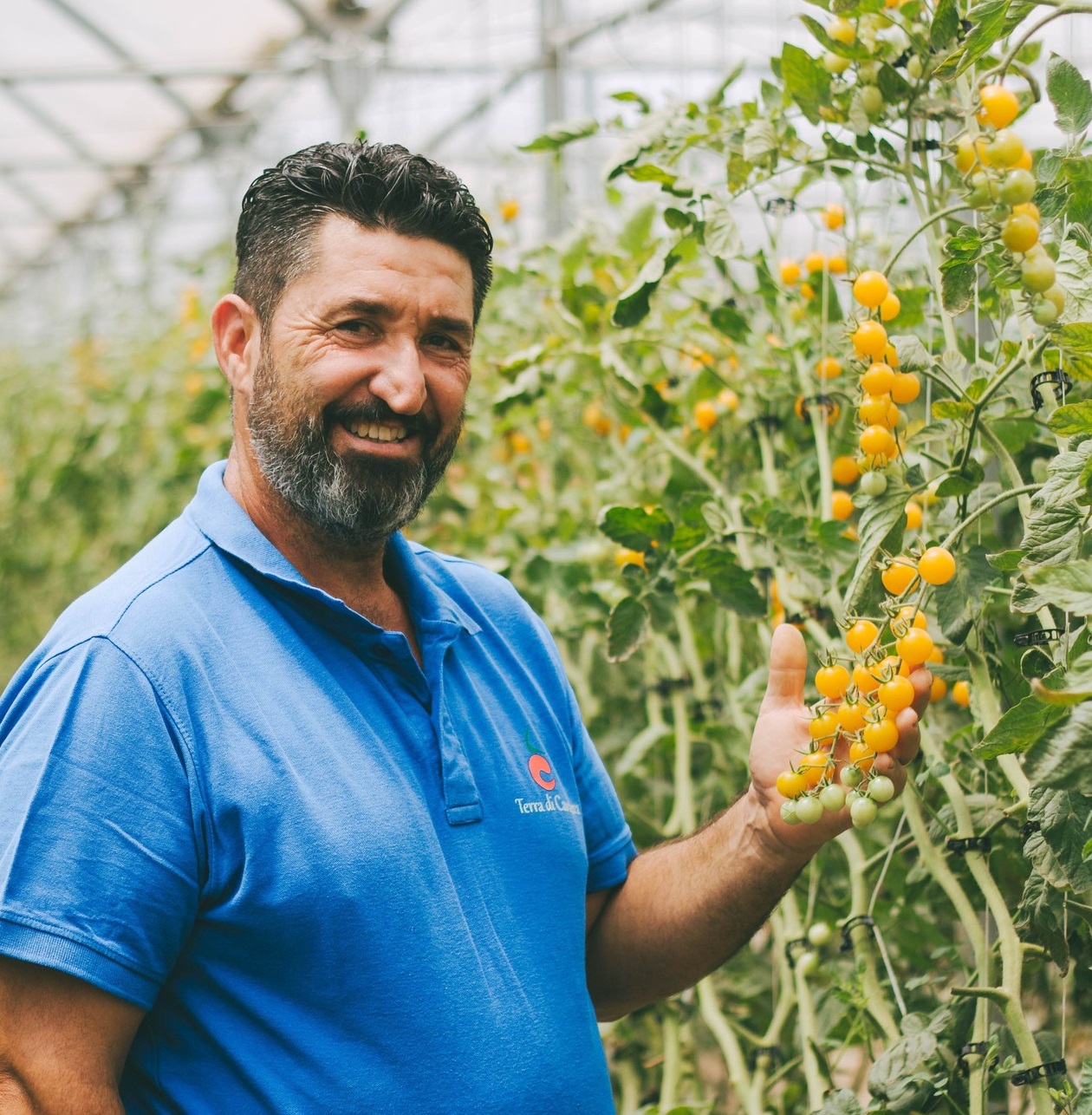 Bottega online Terra di Cavalera - Pomodori freschi e conserve da Pachino