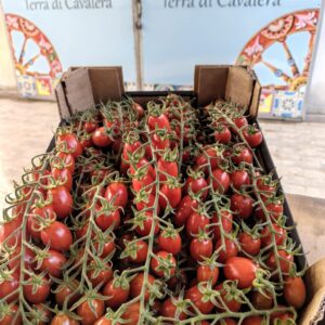 Cassa da 5 kg di Pomodoro Datterino Rosso. Terra di Cavalera - Pachino