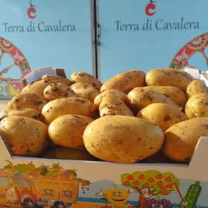 10 kg di patate novelle siciliane