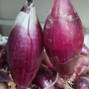 Cassa da 7 kg di Cipolla rossa lunga