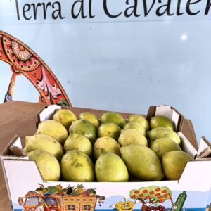 Cassa da kg 6 Limoni verdelli