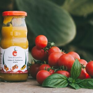 Salsa di Datterino Giallo. BOX da 12 bottiglie (37cl)