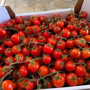 Ciliegino rosso - cassa da 5 kg