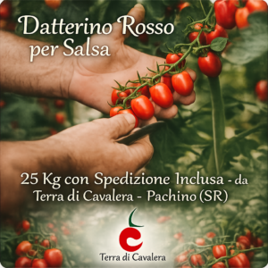 Promo Datterino Rosso per Salsa | 25 Kg con Spedizione Inclusa