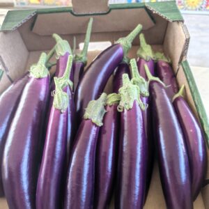 Melanzane Perlina Siciliane – Terra di Cavalera
