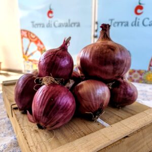Cipolla Rossa – Terra di Cavalera